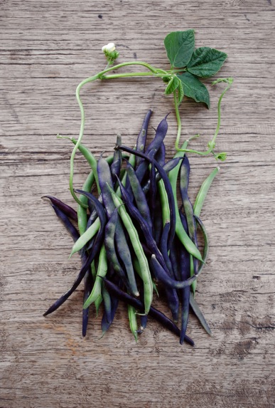 purple and green beans