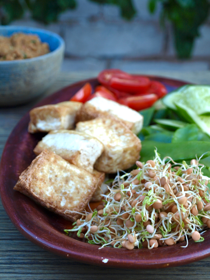 Gado gado with lentil sprouts, fried tofu and vegetables